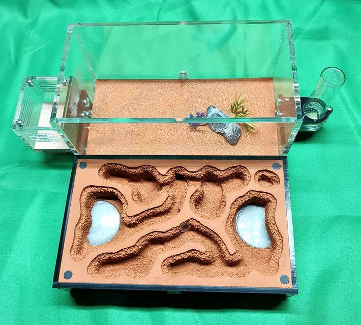 蚂蚁城堡m 无限拼接扩展 生态蚁巢  可视双水塔 蚂蚁农场帝国科普