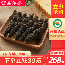 宫品 5T有机淡干海参干货6-11只/50g 刺参海参 礼盒海鲜发泡即食
