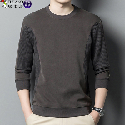 打底衫卫衣中青年圆领啄木鸟套头