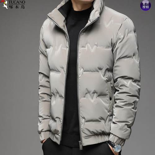 2024年新款白鸭绒立领修身