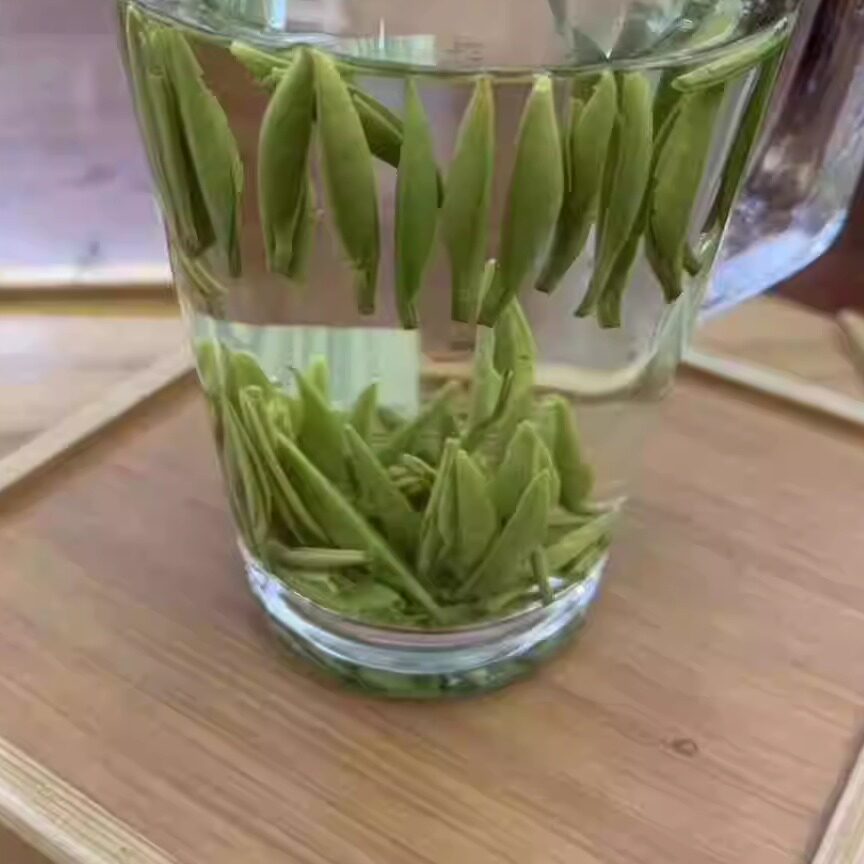 新茶 明前茶 嫩芽尖胖宽叶野山茶 竹叶子茶四川高山茶250克