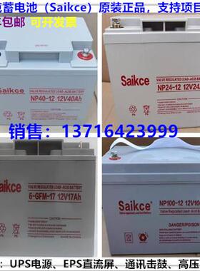 赛克UPS蓄电池NP7-1212V7A12A17A24A33A38A40A55A65A100AH铅酸GFM