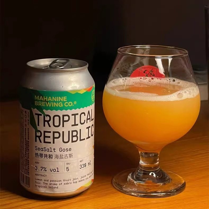 新货高分 国产高分 大九酿造热带共和海盐古斯 精酿啤酒350ml*6罐