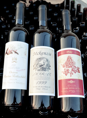 红酒瓶750mll黑色柜装空瓶子摆设葡萄酒瓶送木塞胶套标自酿装饰酒