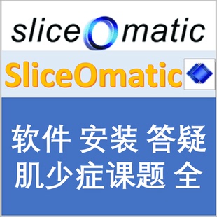 SliceOmatic软件医学图像分析骨骼肌皮下脂肪面积ABACS自动测量