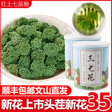 红土三七花2021年新花四年云南文山正品 特级田七花500g三七花茶