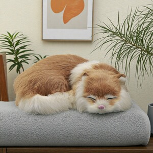 跨境仿真小睡猫模型家居装饰工艺品摆设公仔抱抱猫玩偶拍照道具
