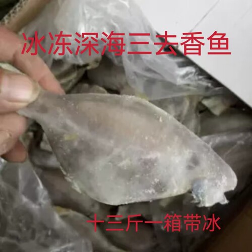 深海新鲜顺丰三去香鱼肉鲳鱼