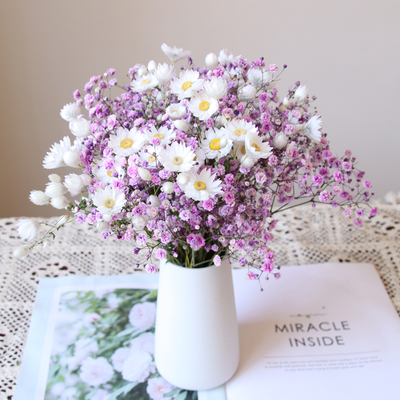 鲁丹鸟鲁丹斯满天星