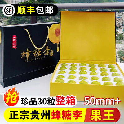 贵州安顺六马蜂糖李果王