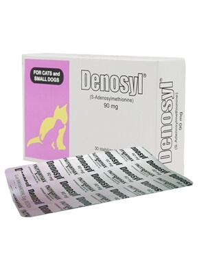 猫护肝片宠物猫咪狗狗丹诺士