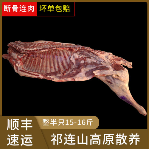 肃南细毛羊羔肉半只带骨连肉