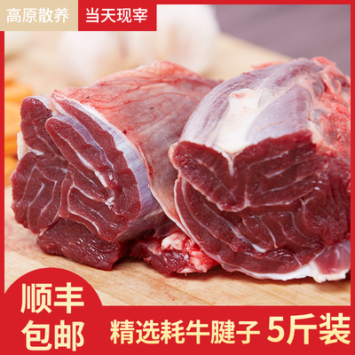 新鲜牦牛肉牛腱子健身