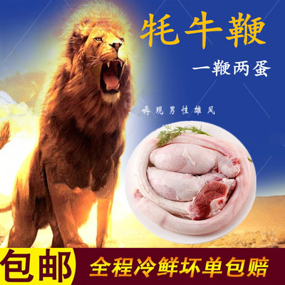 牦牛鞭牛宝新鲜一套牛煲汤速冻