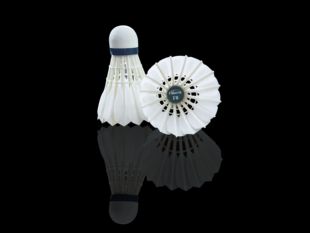 华翎公司羽毛球厂家比赛用球鹅毛羽毛球弗斯特F6