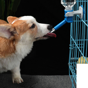 狗狗喝水器挂式宠物饮水器不湿嘴悬挂式水壶喂水器猫咪流动饮水机