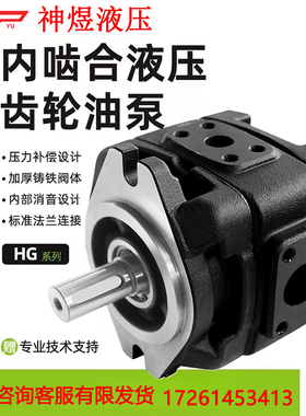 液压内啮合齿轮泵315b压力HG2-80/100/125/160注塑机内啮合齿轮泵