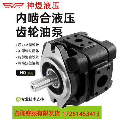 液压内啮合齿轮泵315b压力HG2-80/100/125/160注塑机内啮合齿轮泵