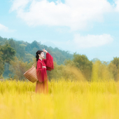 直播间福利专用瑕疵单品孤品