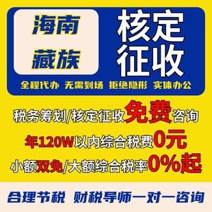 海南藏族核定征收个体户小额双免公司核定大额核定税务筹划电商