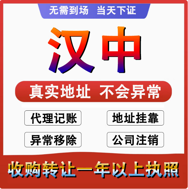 汉中汉台南郑城固洋县公司个体户注册代账变更注销营业执照减资