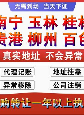 广西南宁个体工商户营业执照代办理公司注册销转让核定征收申年报