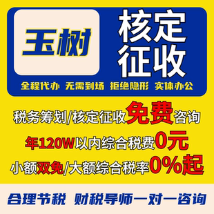 玉树核定征收个体户小额双免公司核定大额核定税务筹划电商合规