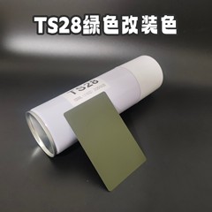 TS28消光橄榄绿改装改色awm军绿色喷涂diy格洛克18c下握吃鸡aug绿