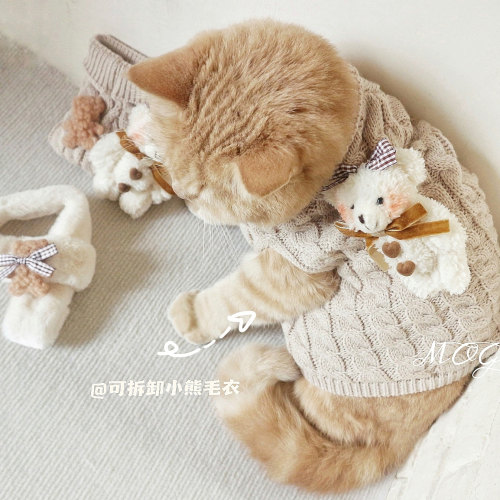 MOG 可拆卸小熊宠物毛衣暖和猫咪英短秋冬衣服小型犬手工制造围巾