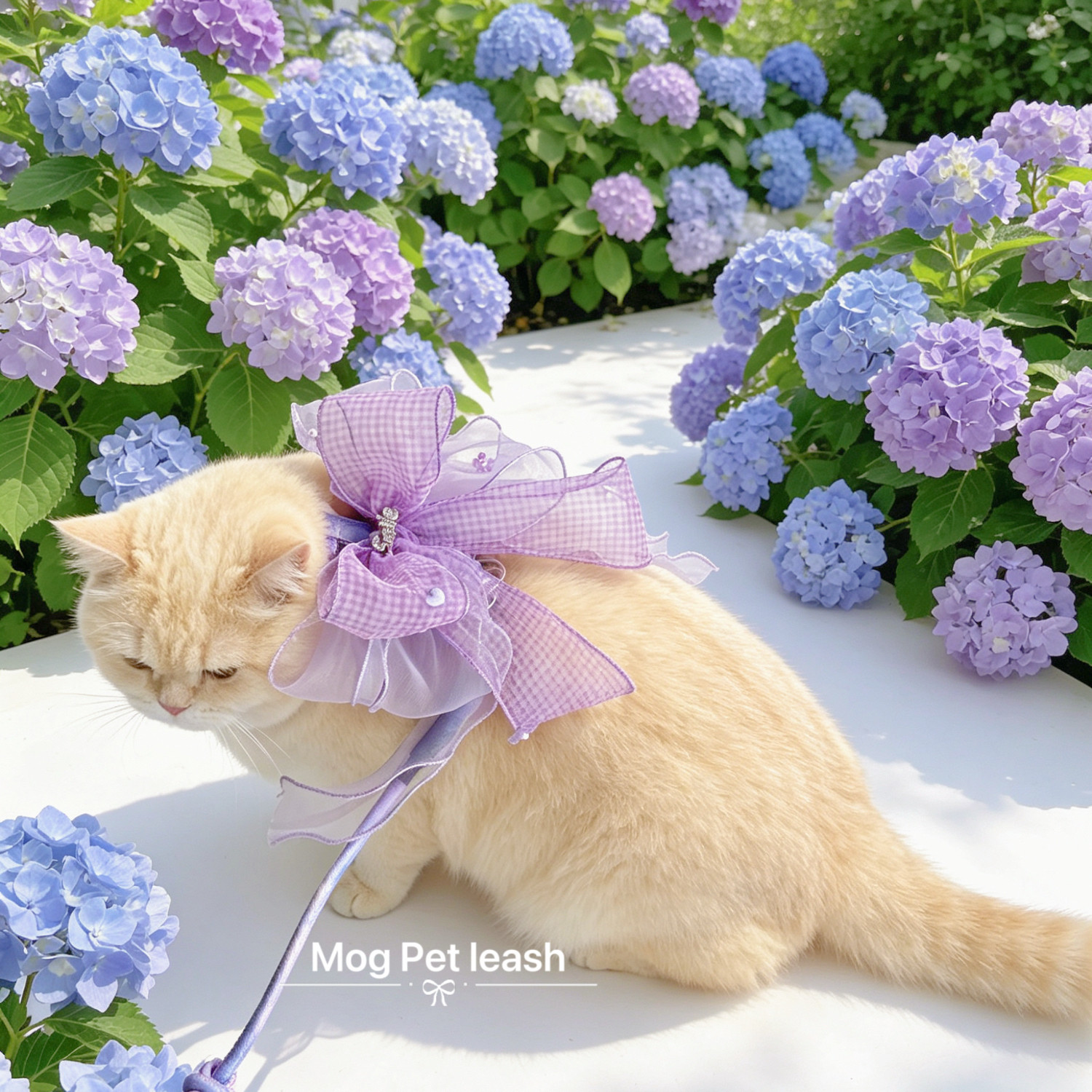 MOG潋滟紫系列工字牵引衣服狗狗猫咪通用外出溜绳蝴蝶结防挣脱