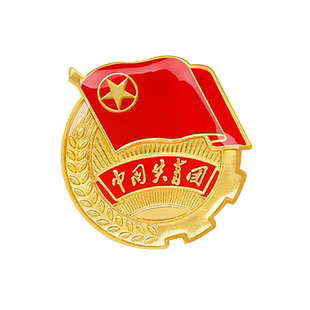 带收纳盒 共青团团徽 标准团徽别针磁铁入团学校单位学生团徽章