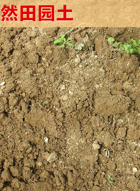 田园土沙土家庭园艺栽花种菜土壤 营养土大包黄土养花土泥土包邮