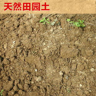 营养土大包黄土养花土泥土 田园土沙土家庭园艺栽花种菜土壤 包邮