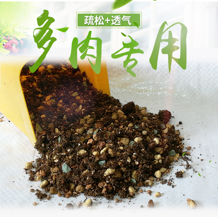 多肉土多肉植物专用营养土种植土颗粒土铺面石配好肉肉花泥经济装