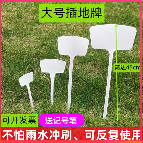 插地牌加厚植物标签蝴蝶仙子送笔
