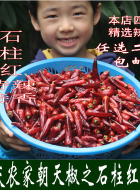 重庆特产石柱红干辣椒农家特辣
