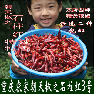 重庆特产石柱红干辣椒朝天椒朝天红3号香辣特辣四川正宗农家包邮
