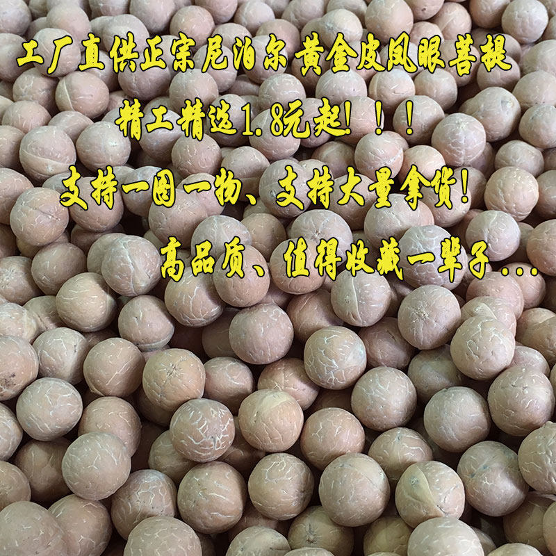 尼泊尔凤眼菩提原籽手持佛珠