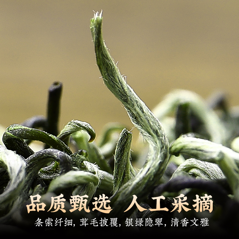 2024新茶特级碧螺春绿茶花果香毛尖春茶明前嫩芽散装茶叶自己喝