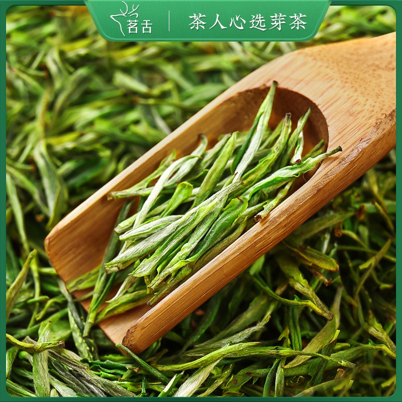 2026新茶霍山黄芽明前春茶图片