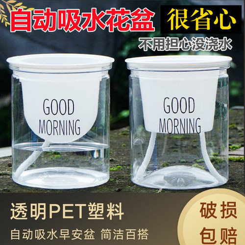 兰花苗懒人自动吸水水培