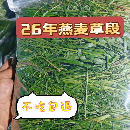 提摩西草兔子提牧西岷县新草