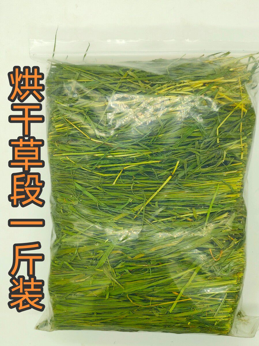 提摩西草兔子提牧西岷县新草