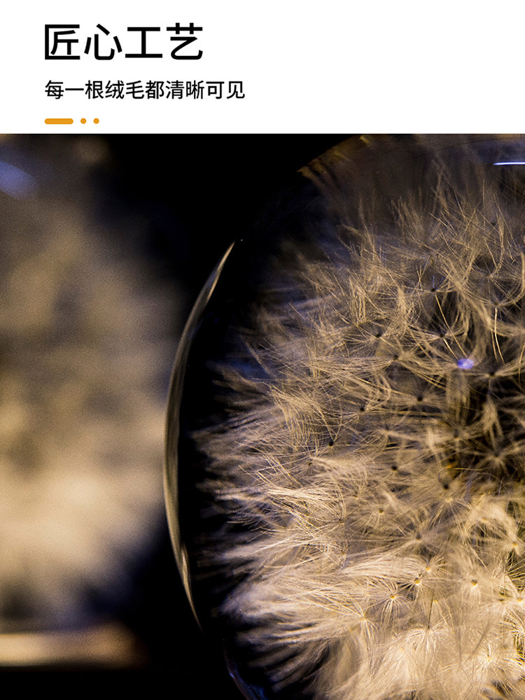 민들레 크리스탈 볼 뮤직 박스 회전 야간 조명 뮤직 박스 장식 어린 소녀 친구 소녀 생일 선물