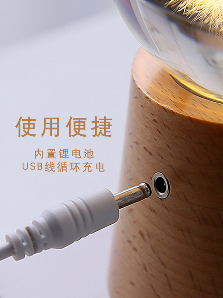 민들레 크리스탈 볼 뮤직 박스 회전 야간 조명 뮤직 박스 장식 어린 소녀 친구 소녀 생일 선물