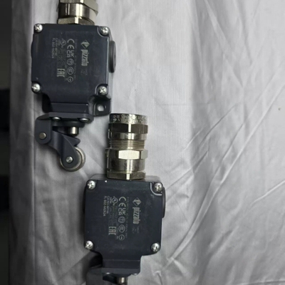 议价 Pizzato FL602-M2R24限位开关，全新有划痕！