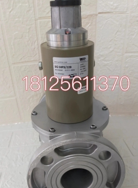 议价 SG50FS/220 SG40FS/220 SG65FS/2