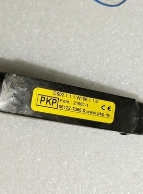 议价 PKP流量开关，型号DS02.1.1.1.W106.1.1.