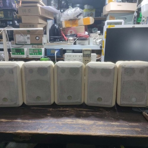 议价 LEVOICE 音丽士 定压音箱，型号：45W，成色如图，1