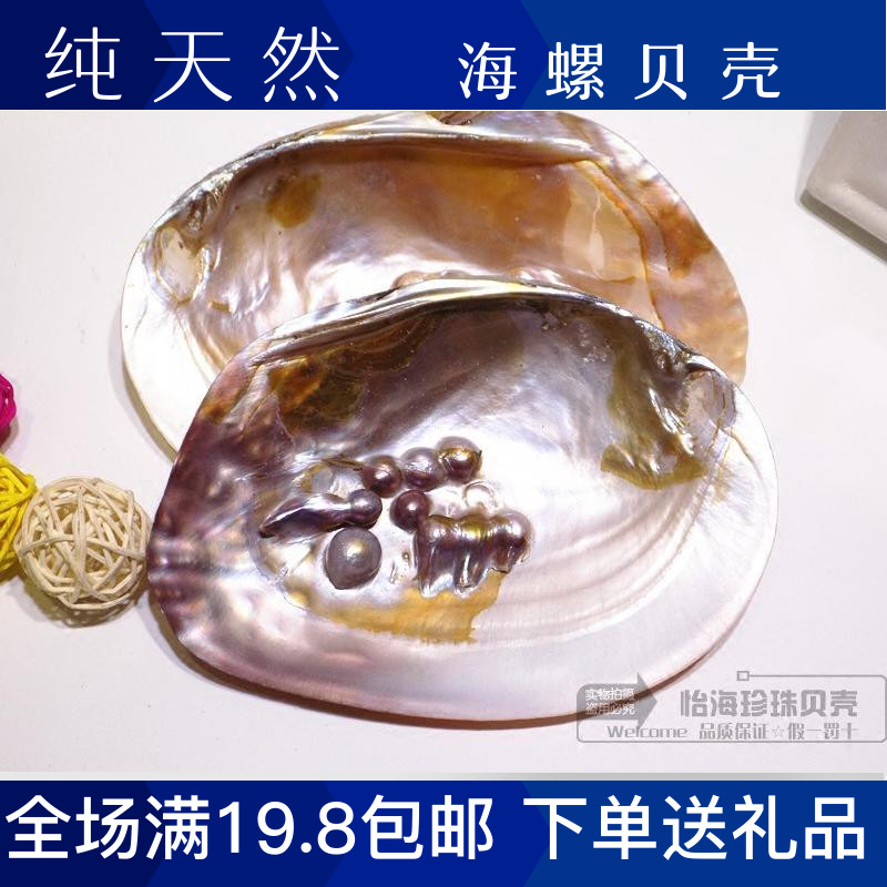 海螺贝壳珍珠蚌珊瑚水族摆件